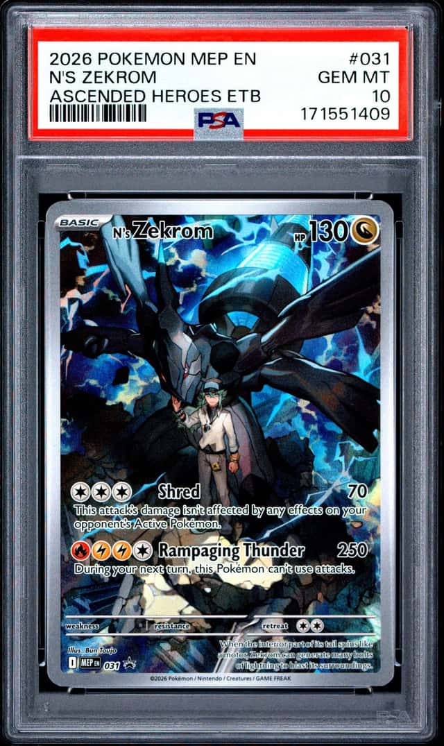 N's Zekrom