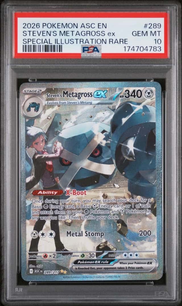 STEVEN'S METAGROSS ex
