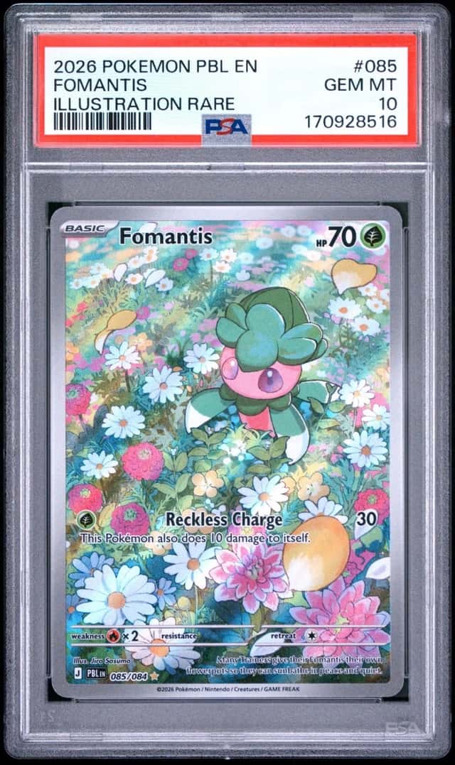 Fomantis