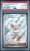 Cinccino