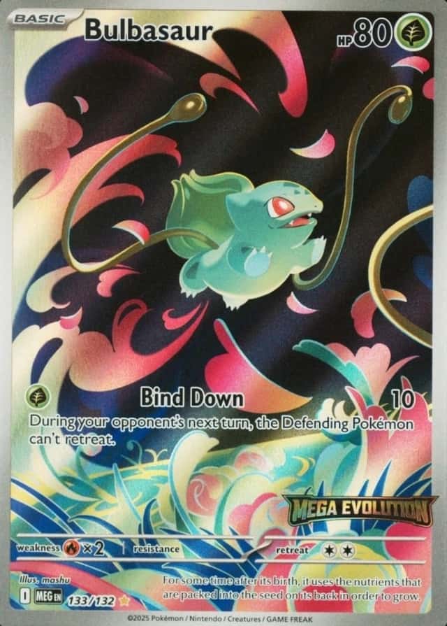 Box Topper