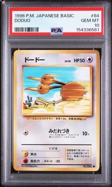 Doduo