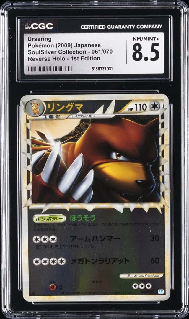 Ursaring
