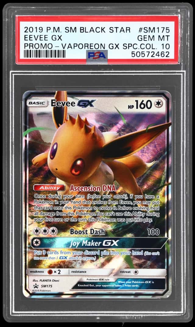 Eevee GX