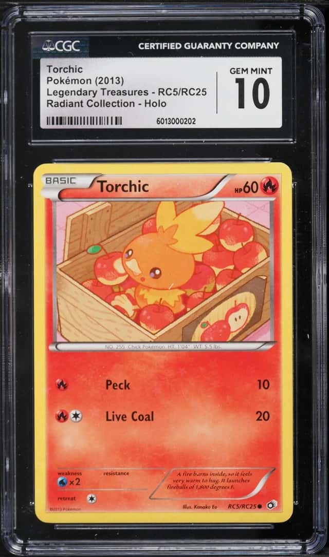 Torchic