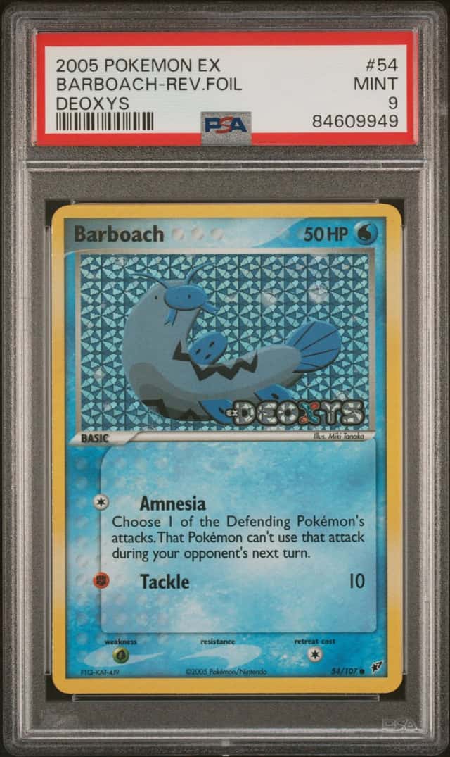 Barboach