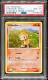 Chimchar