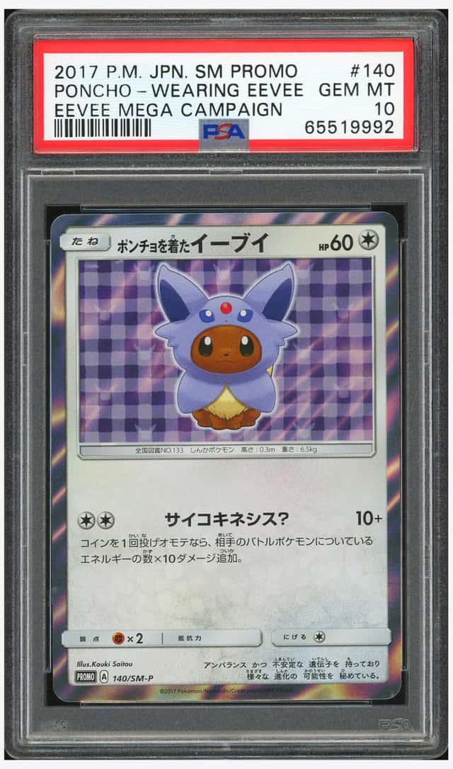Poncho-Wearing Eevee