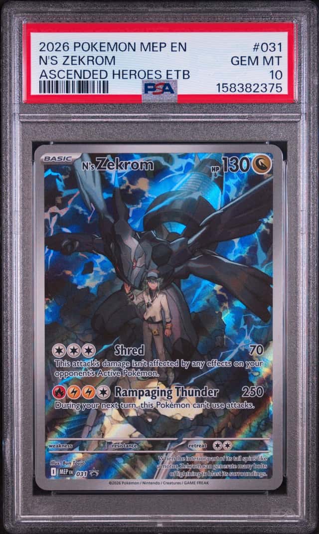 N's Zekrom