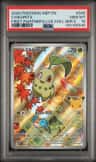 Chikorita