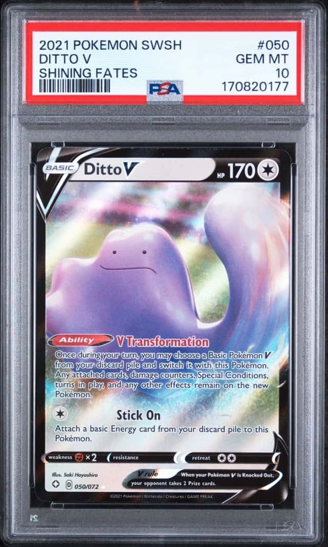 Ditto V