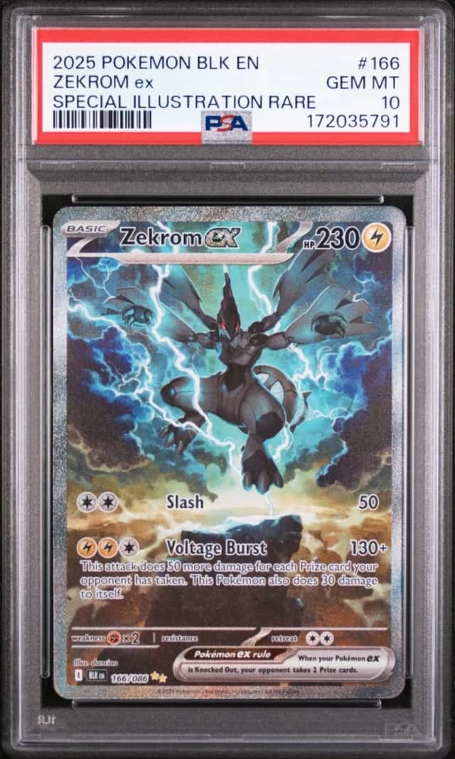 ZEKROM ex