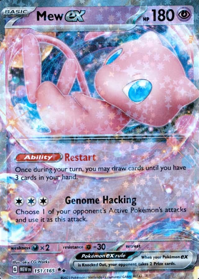 Holo
