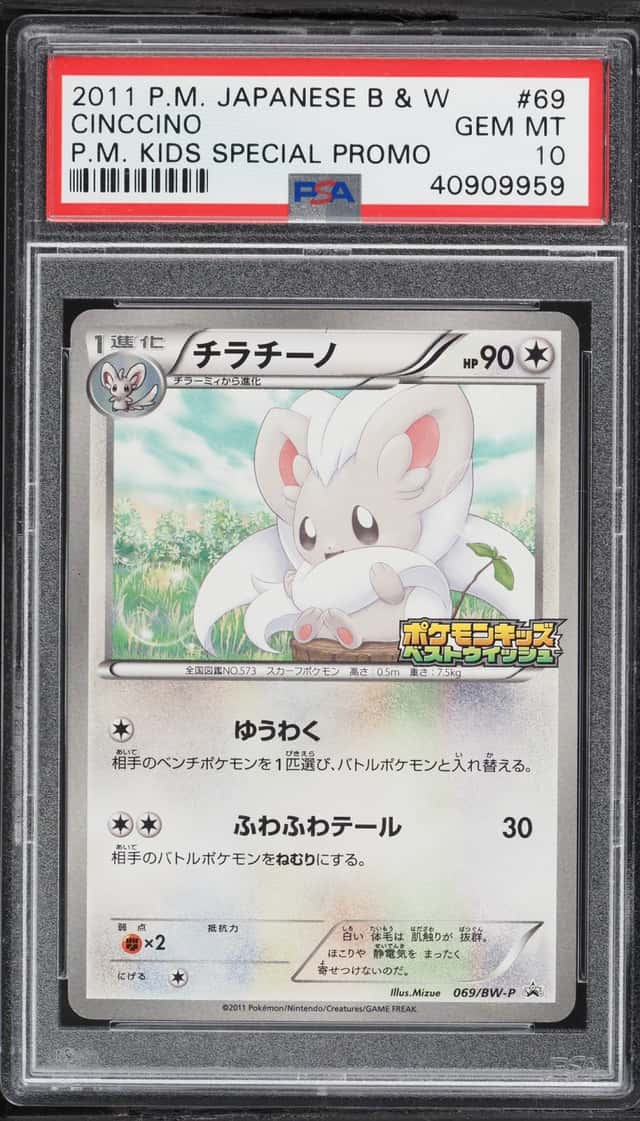 Cinccino