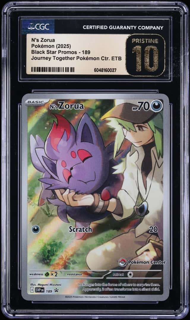 N's Zorua