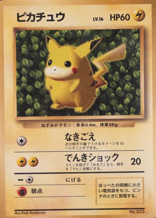 Non-Holo · Non-Glossy · Easily How Play To Understand