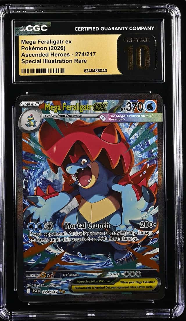 MEGA FERALIGATR ex