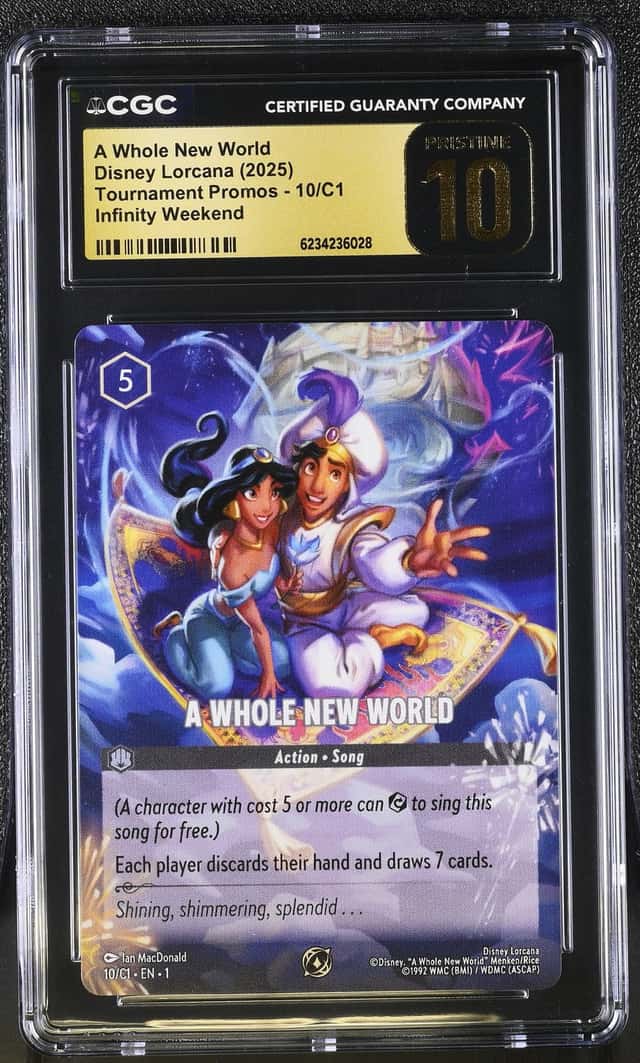 A Whole New World