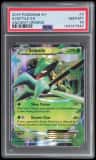 Sceptile Ex