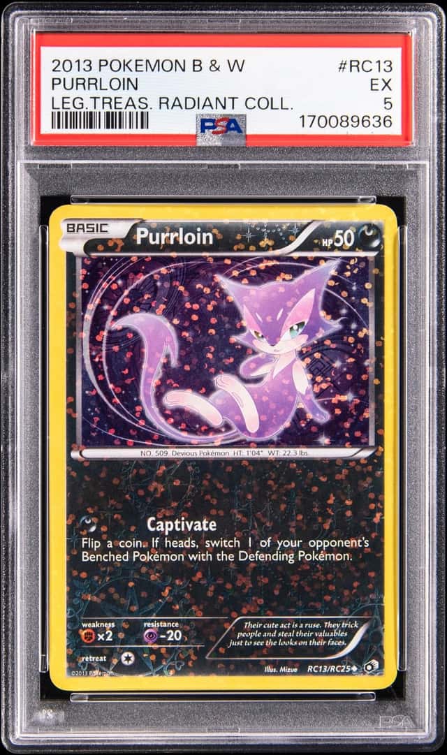 Purrloin
