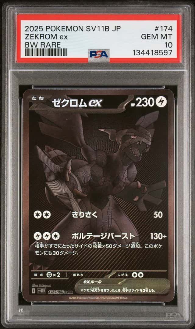 ZEKROM ex