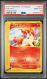 Ponyta