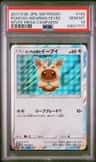 Poncho-Wearing Eevee