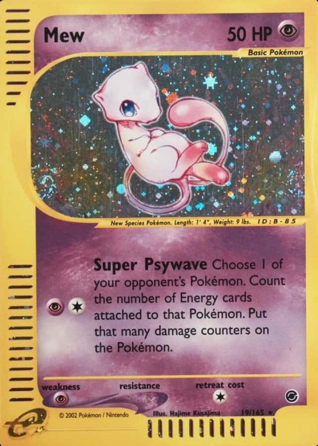Holo