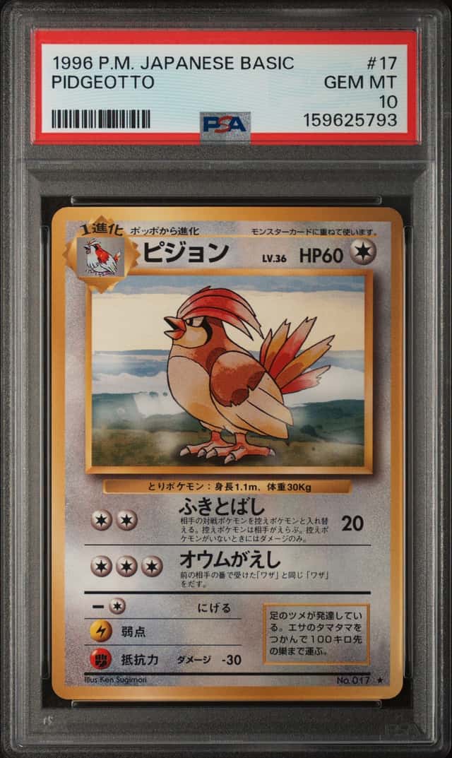 Pidgeotto