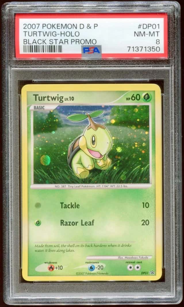 Turtwig