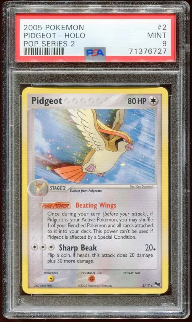Pidgeot