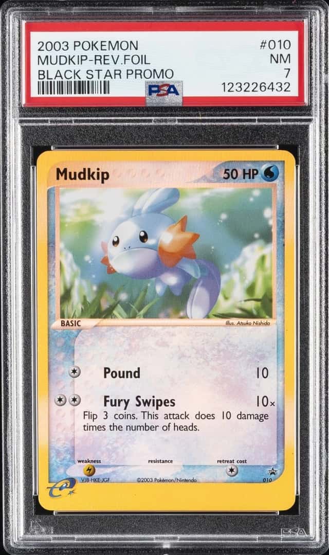 Mudkip