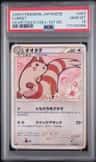 Furret