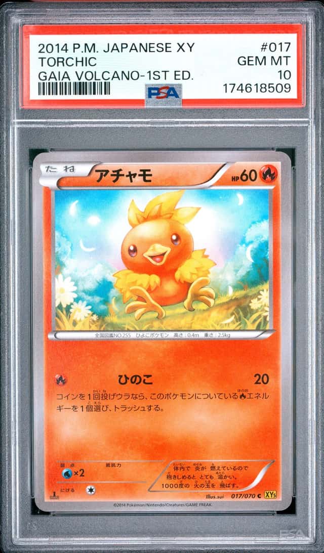 Torchic