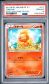 Torchic