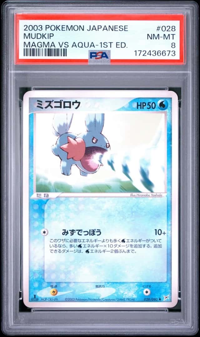Mudkip