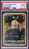Turtwig