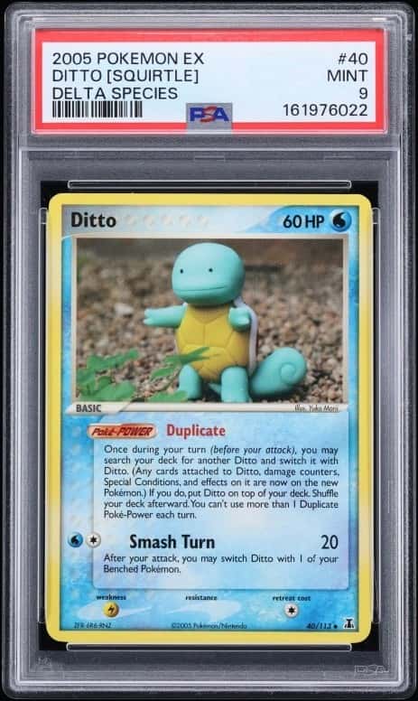 Ditto [Squirtle]