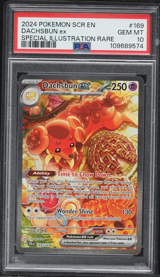 DACHSBUN ex