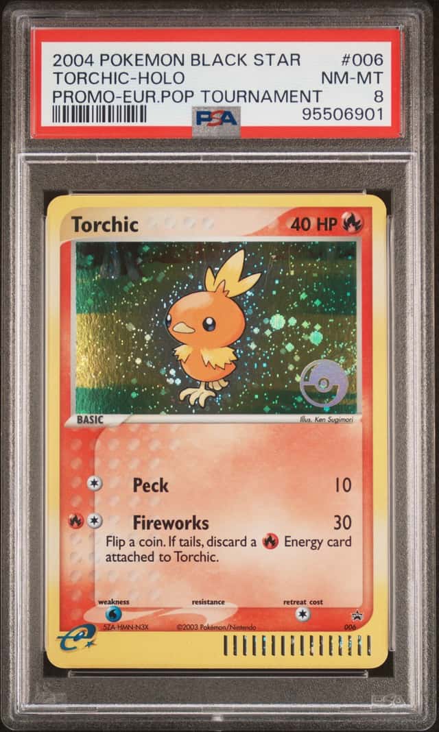 Torchic