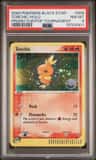 Torchic