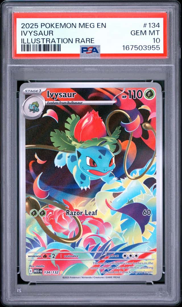 IVYSaur