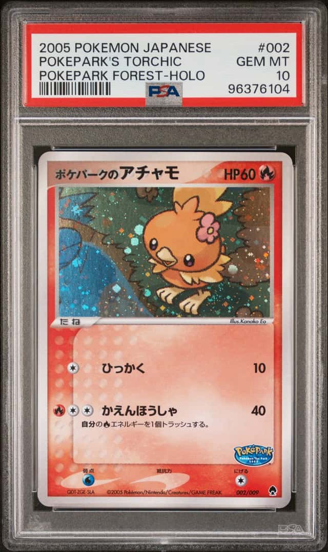 Pokepark's Torchic