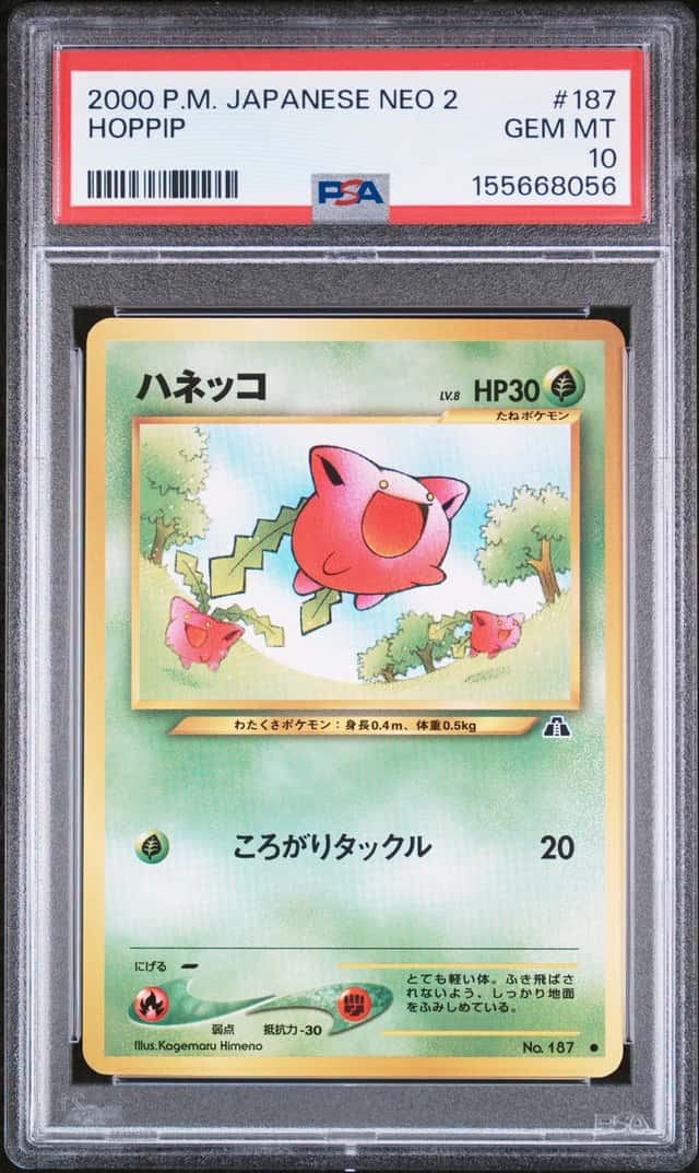 Hoppip