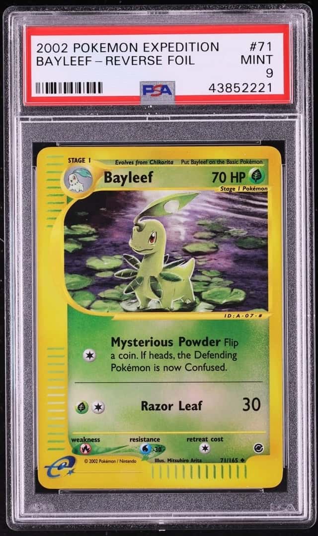 Bayleef