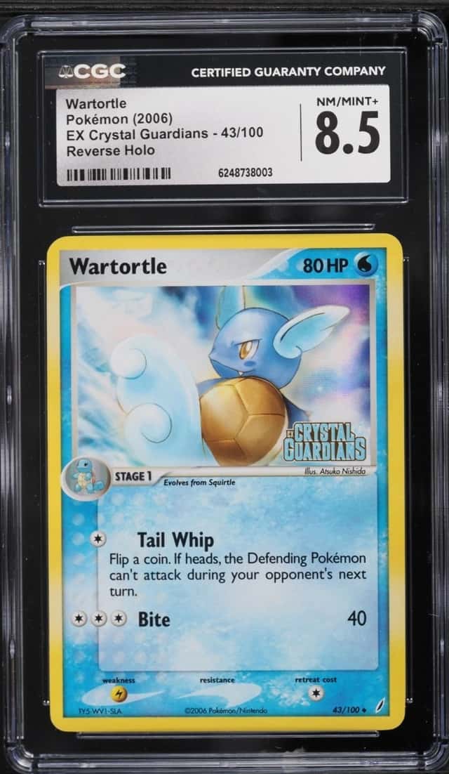 Wartortle