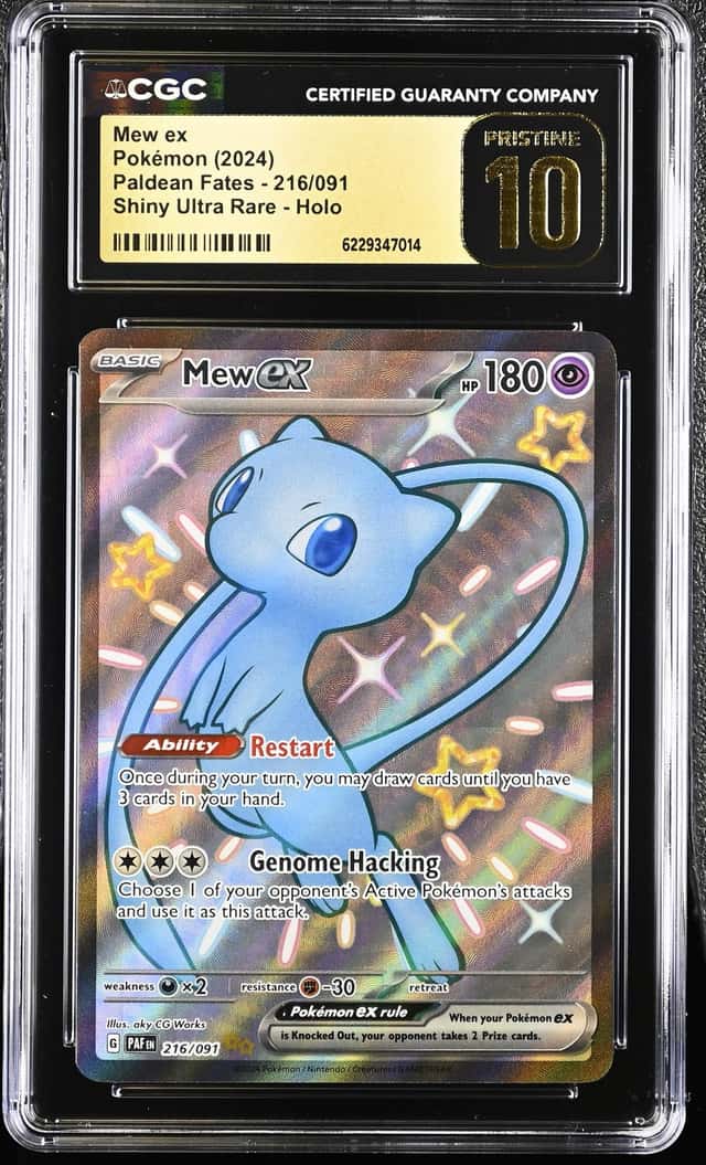 MEW ex