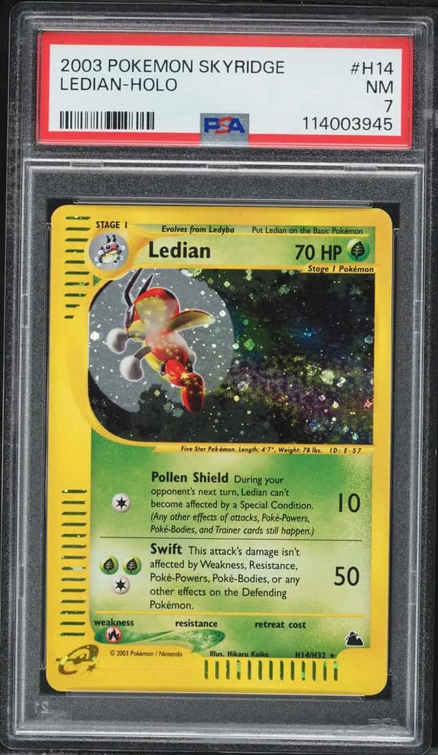 Ledian