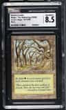 Gaea'S Cradle