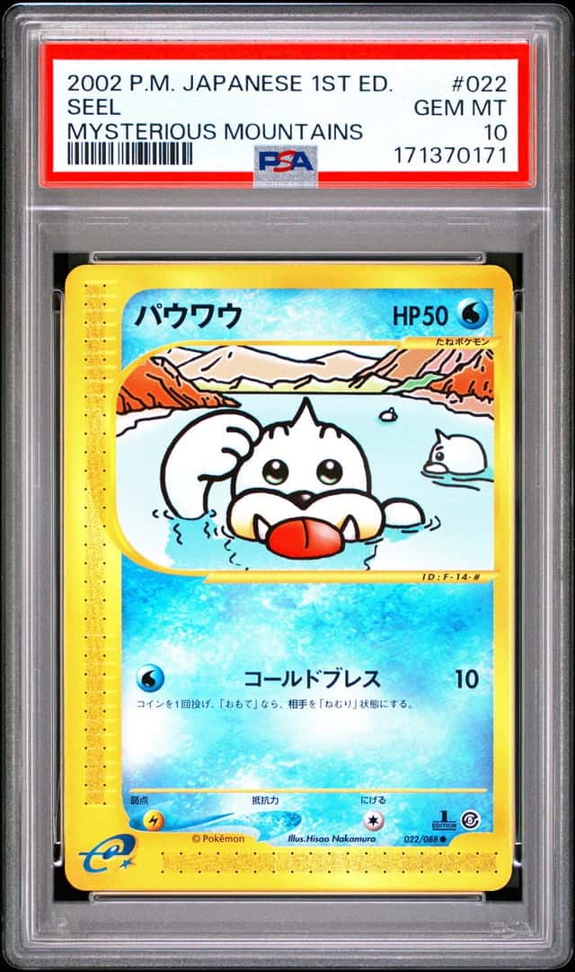 Seel